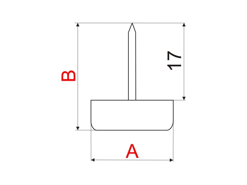 Foot with nail schema