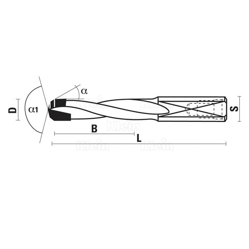 Dp dowel drills schema