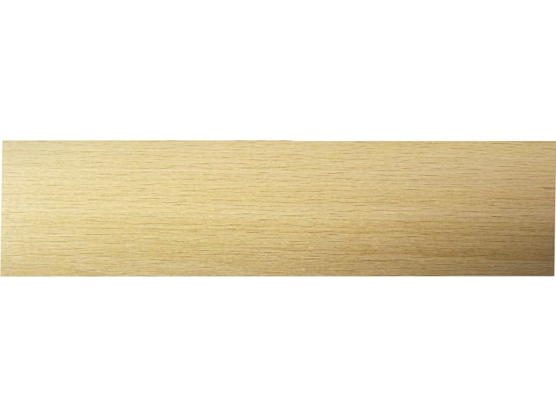 Beech main image