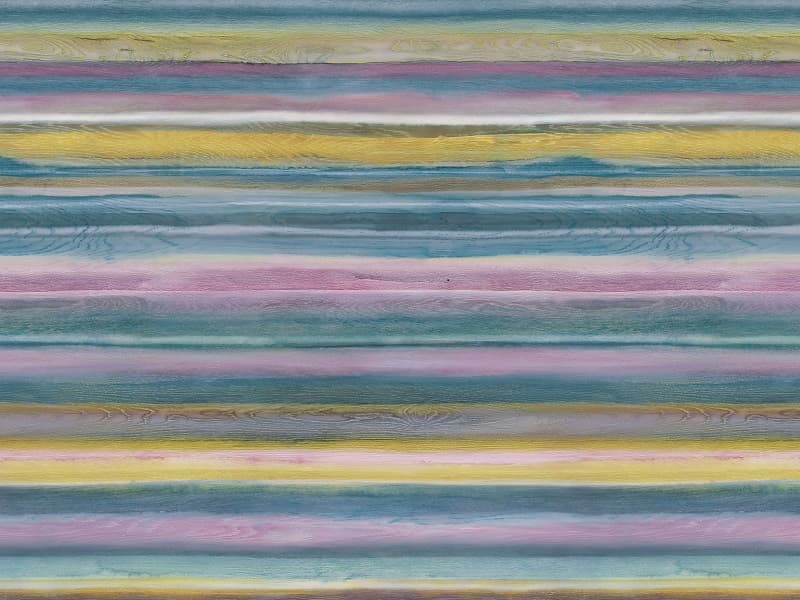 ПДЧ Холи 0439 снимка