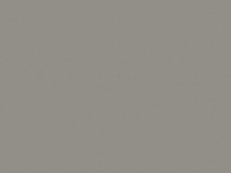 Плот F502 Титан фино-четкан снимка