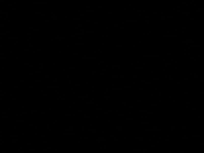 HDF D2300 Black Varnished main image